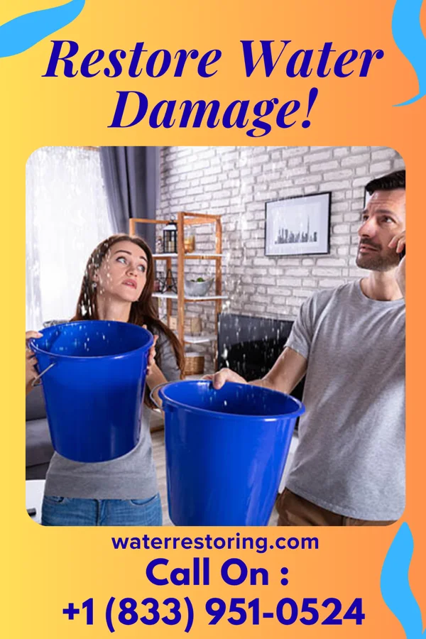 water restoration Royal Cleanup Masters Severna Park
